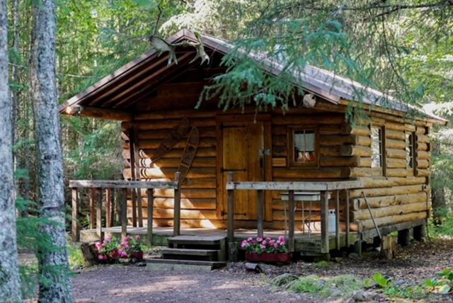 Hope Alaska'S Bear Creek Lodge المظهر الخارجي الصورة