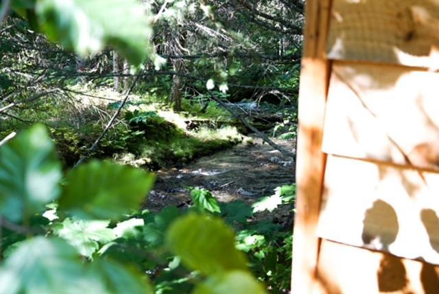 Hope Alaska'S Bear Creek Lodge المظهر الخارجي الصورة