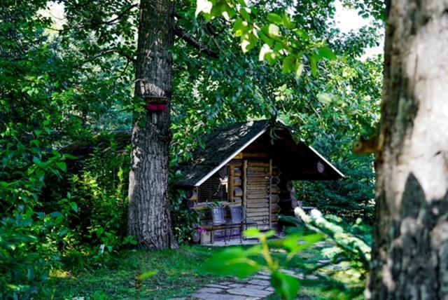 Hope Alaska'S Bear Creek Lodge المظهر الخارجي الصورة